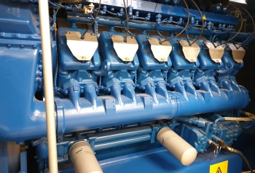 Trigeneracja w zakładach medycznych Clinico Medical-opis realizacji