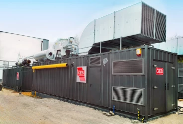 Is cogeneration cost-effective? An analysis of the cost-effectiveness of investing in CHP, using a 1 MWe unit as an example